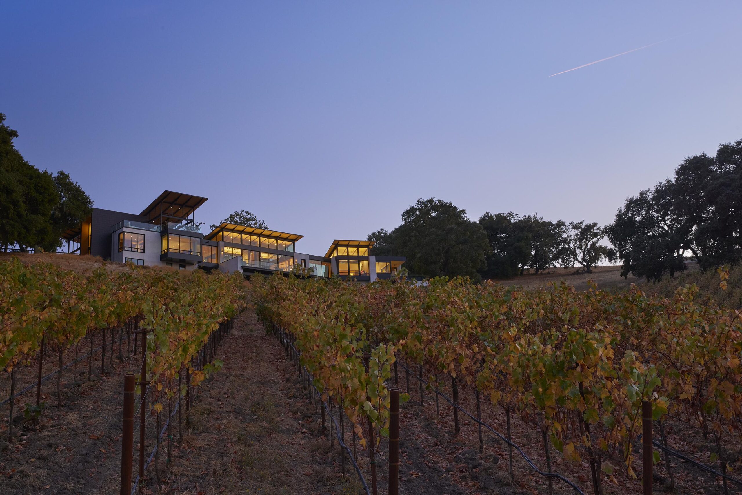 Modern vineyard estate at dusk, featuring multiple glass structures overlooking rows of grapevines, highlighting a blend of architecture and nature.